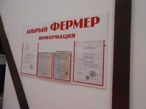 Фотография Дивлайт 5