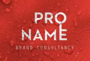 Фотография Proname 2